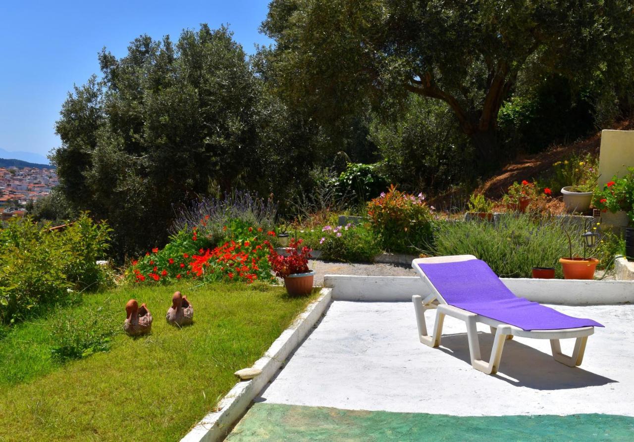 Villa Krini مدينة سكياثوس المظهر الخارجي الصورة