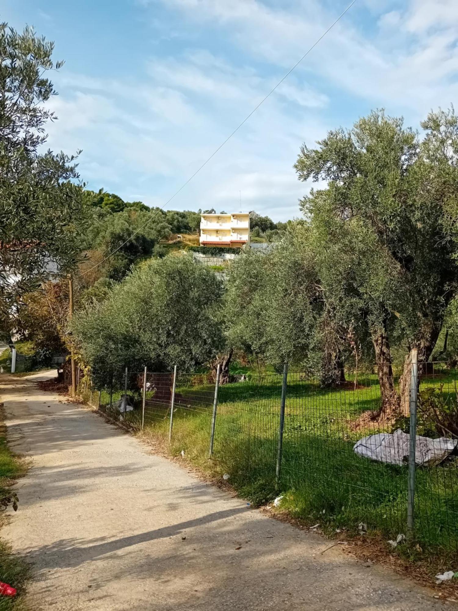 Villa Krini مدينة سكياثوس المظهر الخارجي الصورة